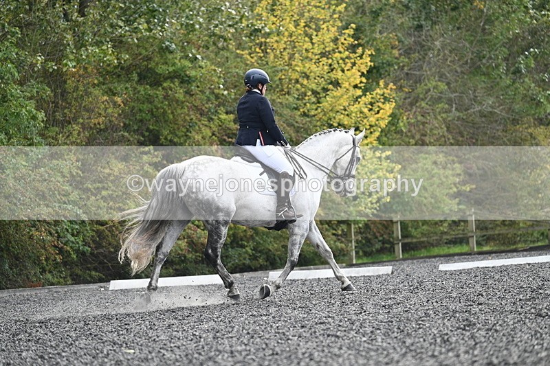 WJ7_6909 - Time 14:49 to 15:14