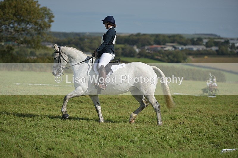 RAY_8095 - Class 2B: Trekenning Open: Dressage