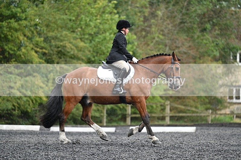 WJ7_6120 - Time 11:38 to 12:03