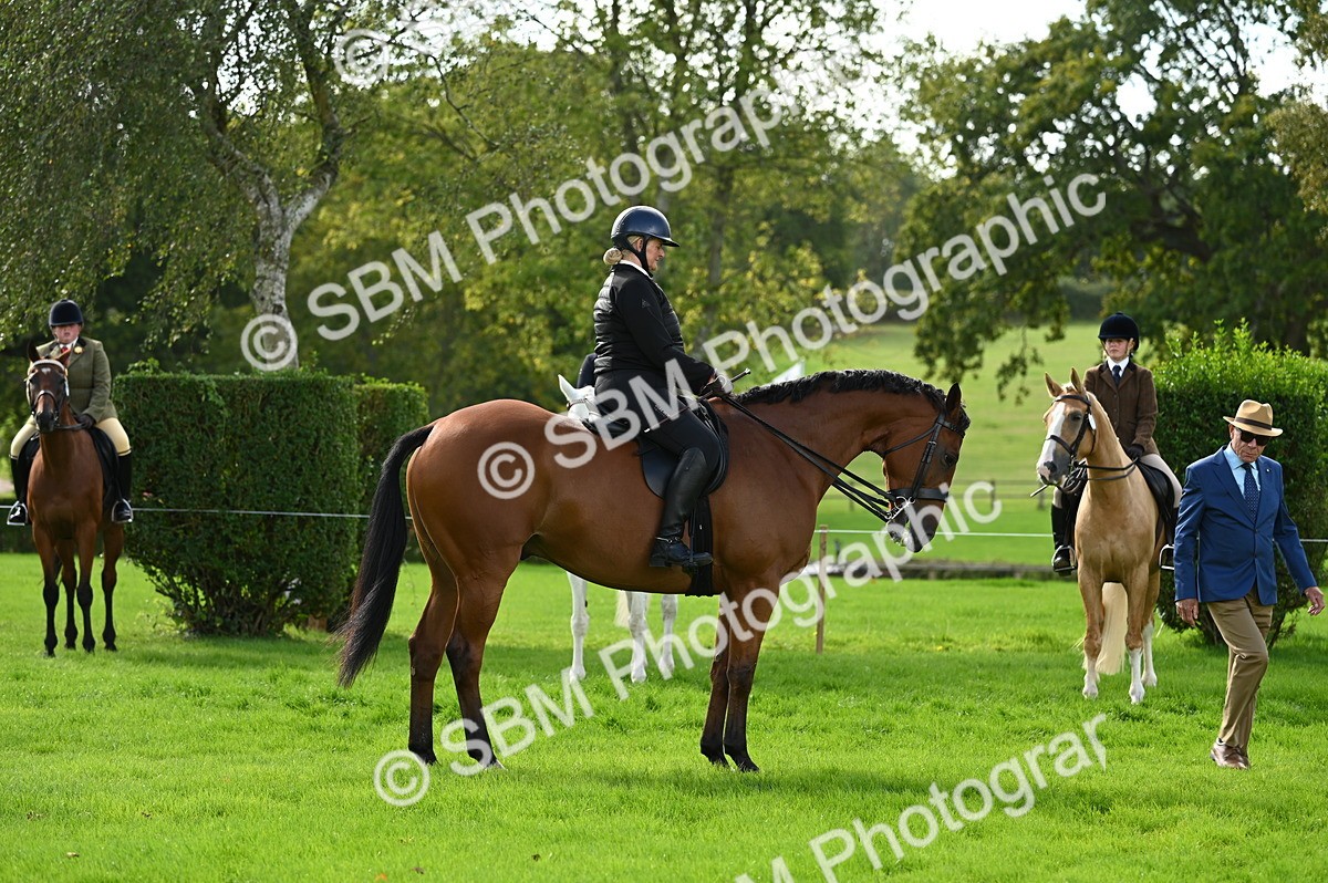 SBM_01956 - S2 - TSR Ridden Horse Showing