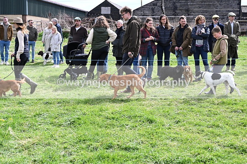 WJ6_8232 - Class 4 Prettiest Bitch