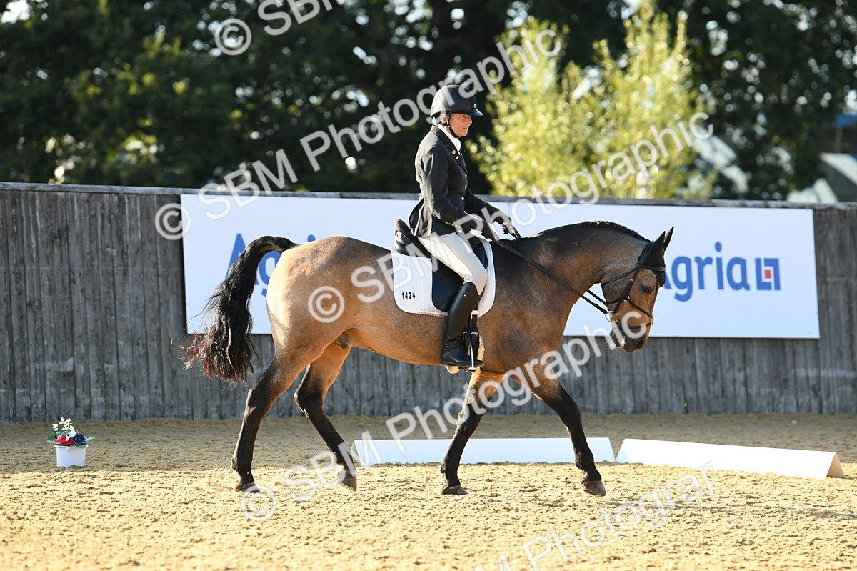 SBM_30726 - D16 - Small Tour Championship - Novice 28