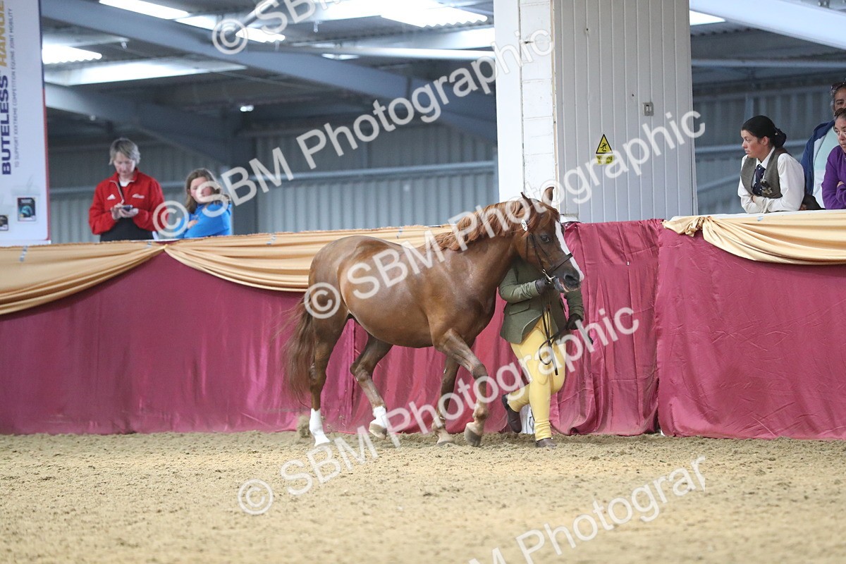 SBM_15269 - Class 501 M&M IH Supreme Final