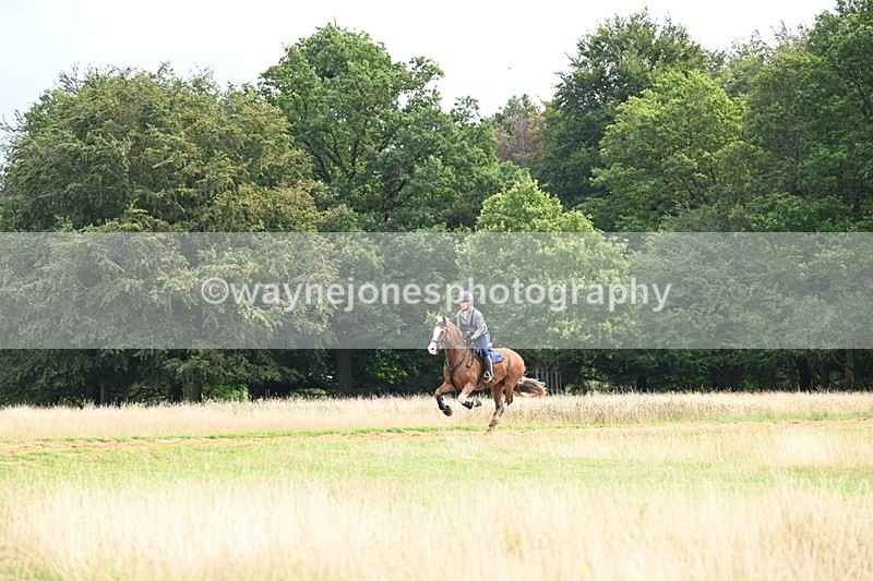 DSC_4537 - Time at Statue 09:50 to 11:09