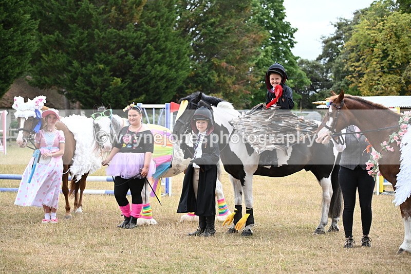 WJ6_9238 - Class 11 Fancy Dress