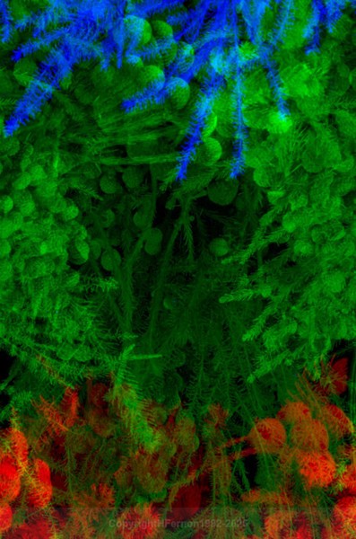 STILL LIFE-CYCLE - STILL LIFE-CYCLE I 2012