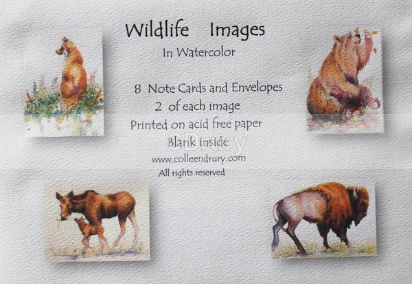 WILDLIFE PACKAGE of  NOTECARDS - Notecard Packages (click on the image to see your options)