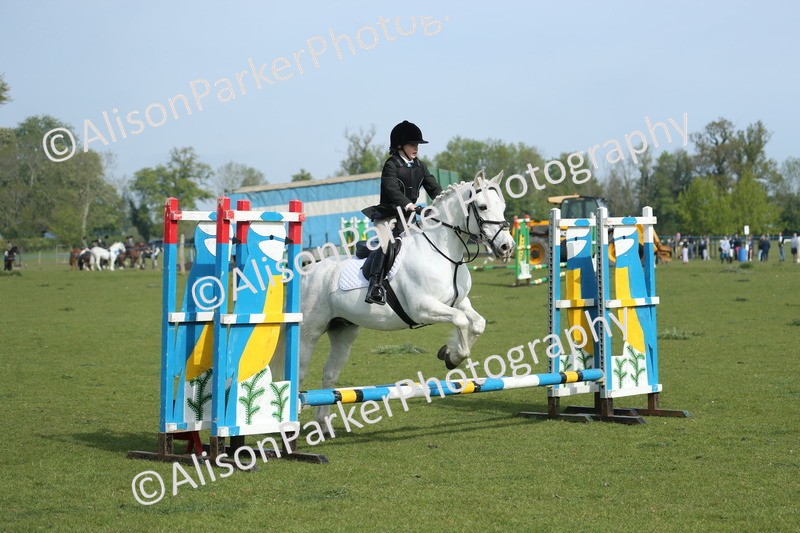20260426-0177 - Class 13 - Rookie Jumping 50cm