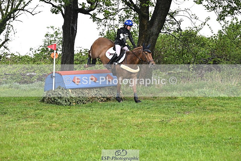 250418-131902-04120 - 205-Millie.Stoneman-V8.CHESTER