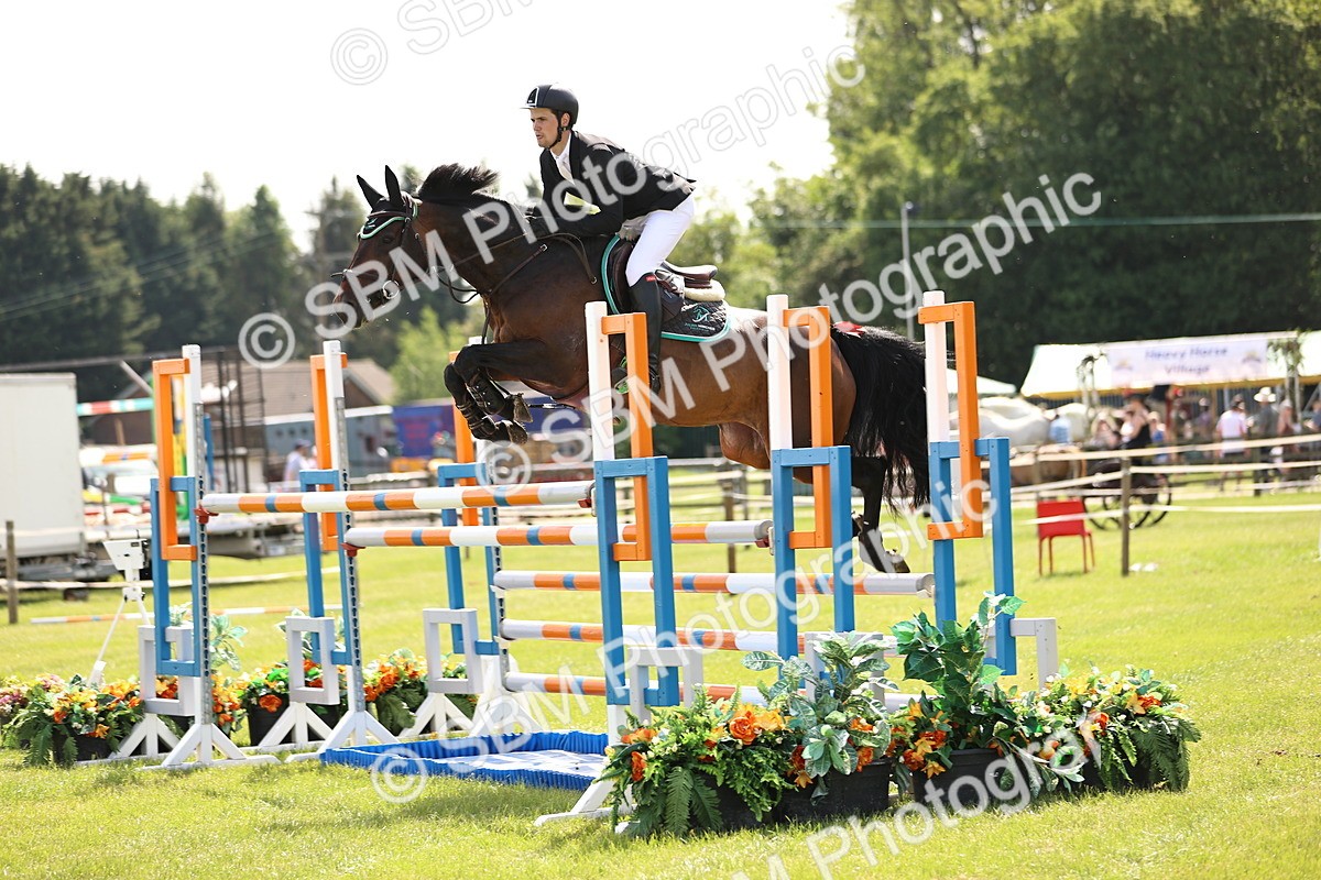 SBM_03150 - Class 201 - British Horse Feedds Speedi Beet HOYS Grade C