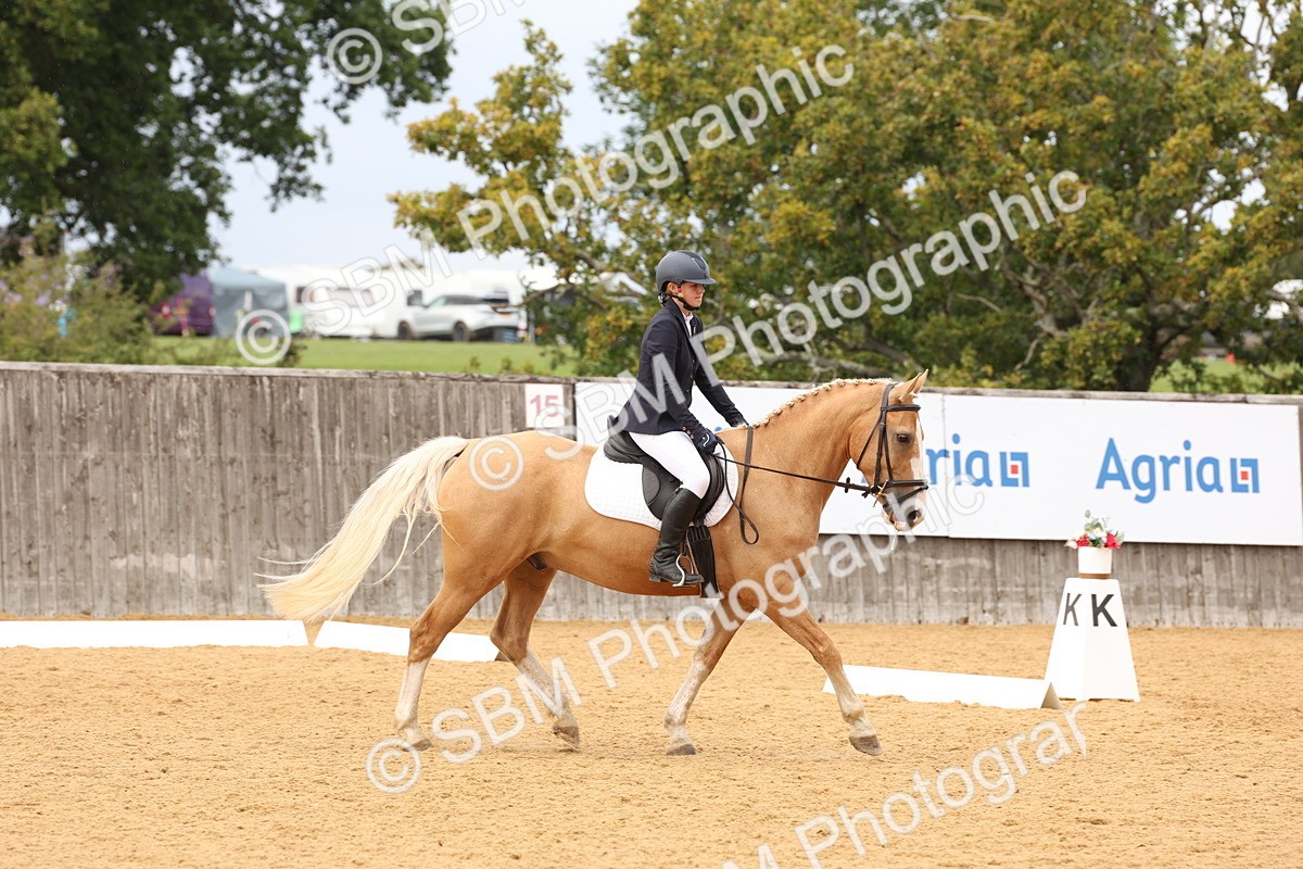 SBM_09075