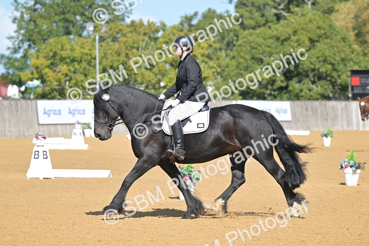 SBM_03969 - D2 - Small Tour Championship Intro 2