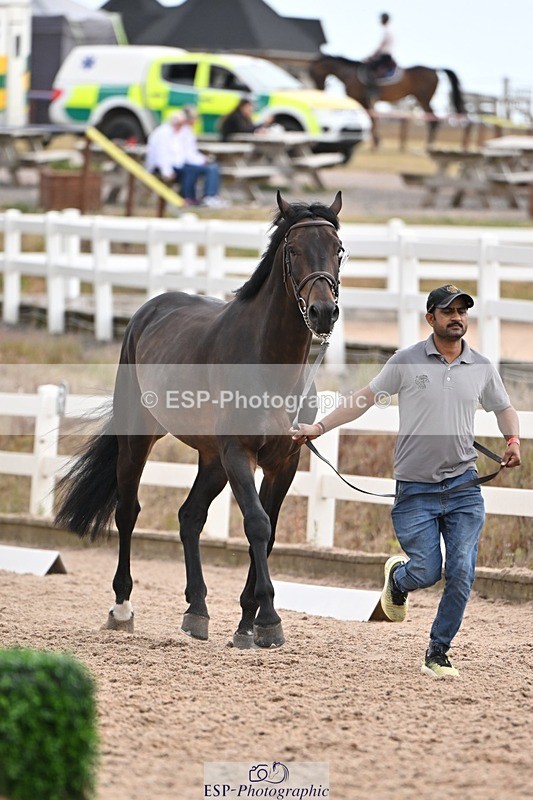 250716-145600-01523 - Trot Up 2.30 to 3.30