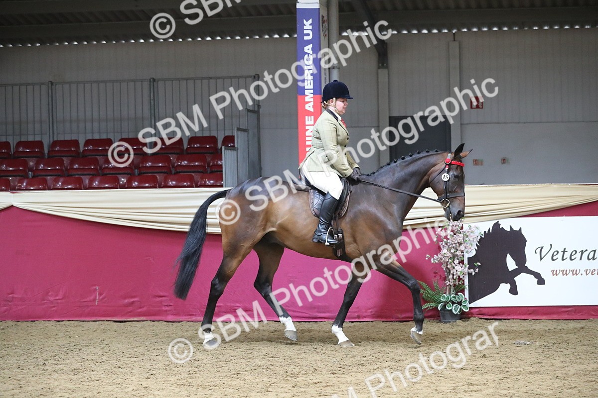 SBM_12304 - Class 108 Ridden Retired Racehorse- Pre Judging