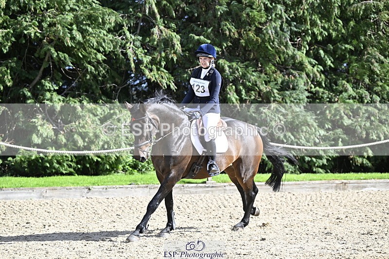 251005A-142319-04384 - Cls 09 Nov 80-85cm