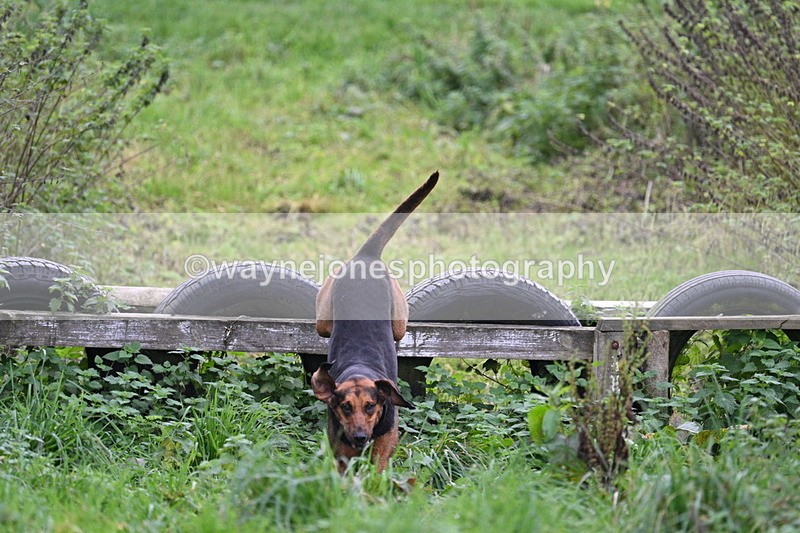 WJ7_8949 - Camera 1 only on this line