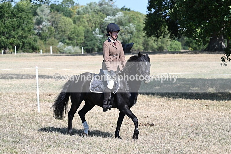 WJ7_3797 - Class 9 Mountain & Moorland Ridden