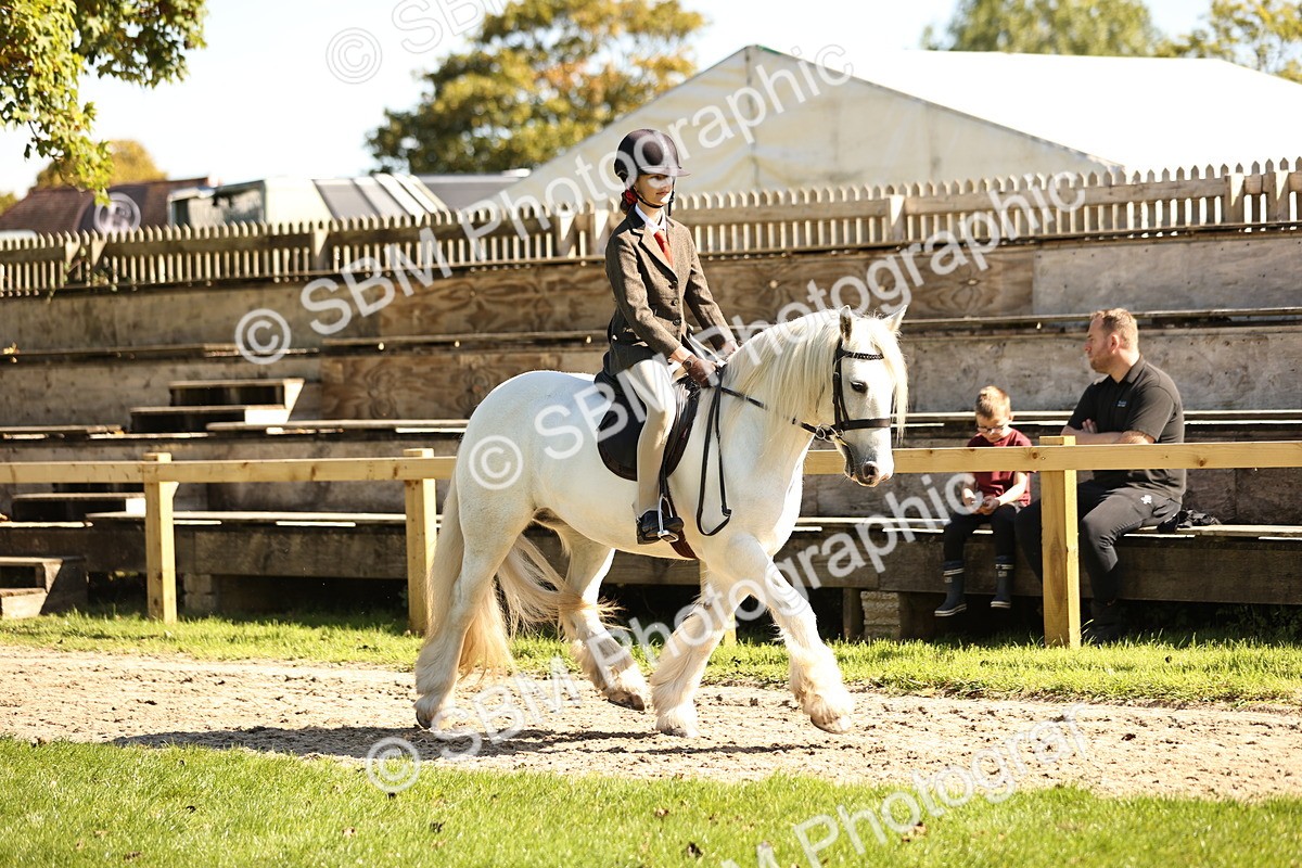 SBM_19251 - S3 - TSR Ridden Pony Showing