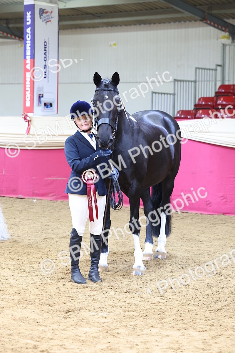 SBM_22949 - Class 903 - Supreme Final - IH Pre Vet