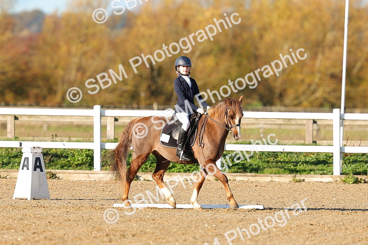 SBM_000239 - Prelim 5