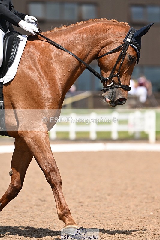 240621A-141527-04241 - Cls 8 BD Elementary 53