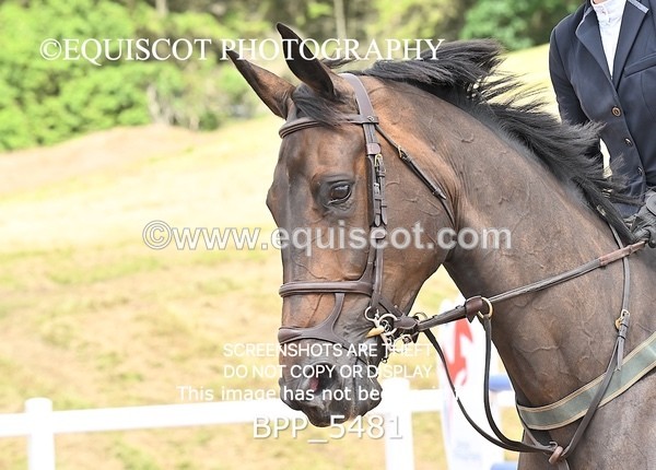 BPP_5481 - CLASS 8 THURS HOYS GFS Saddles Senior Newcomers Second Round