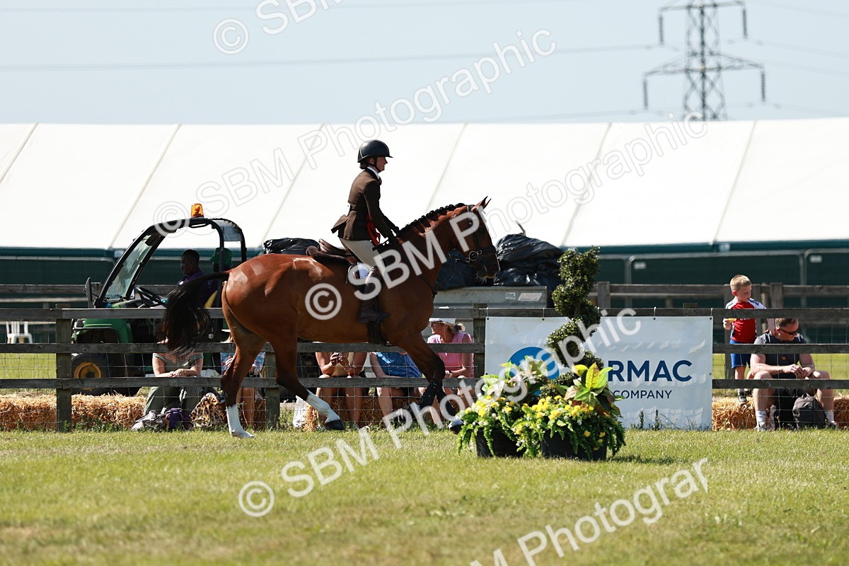 SBM_18518 - Class 112-113 - BSPS LIHS Working Sports Pony