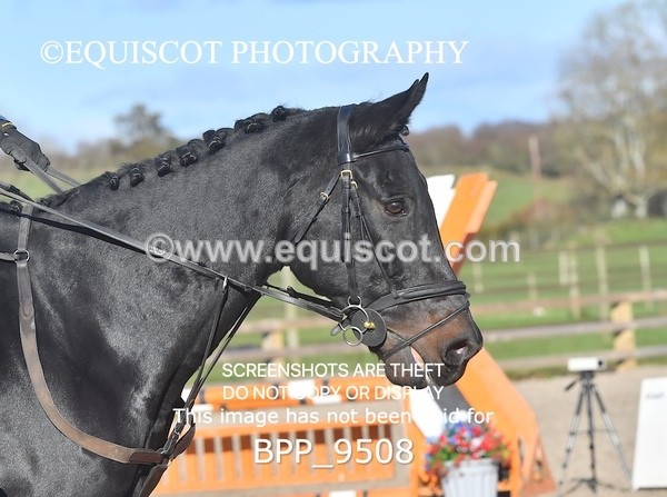 BPP_9508 - CLASS 5 80CM