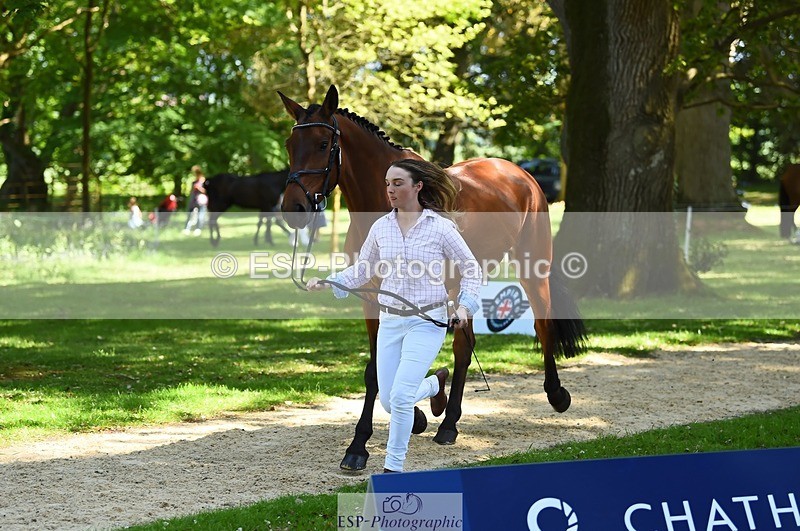 230524-152732-00281 - 329-VINTAGE_GRAFFITI-Alice_Hallows-WEDTrotUp+DR