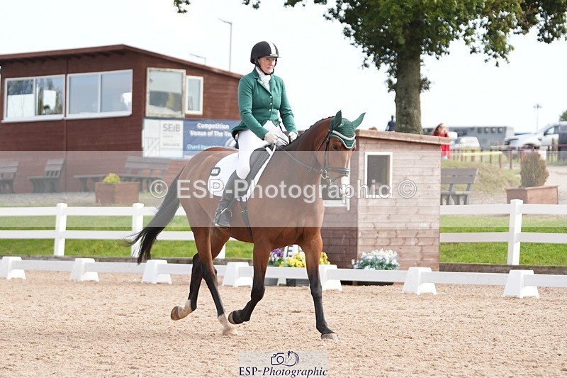 250906-095922-01396 - 001-Tracy.OKennedyWylye.Harlequin