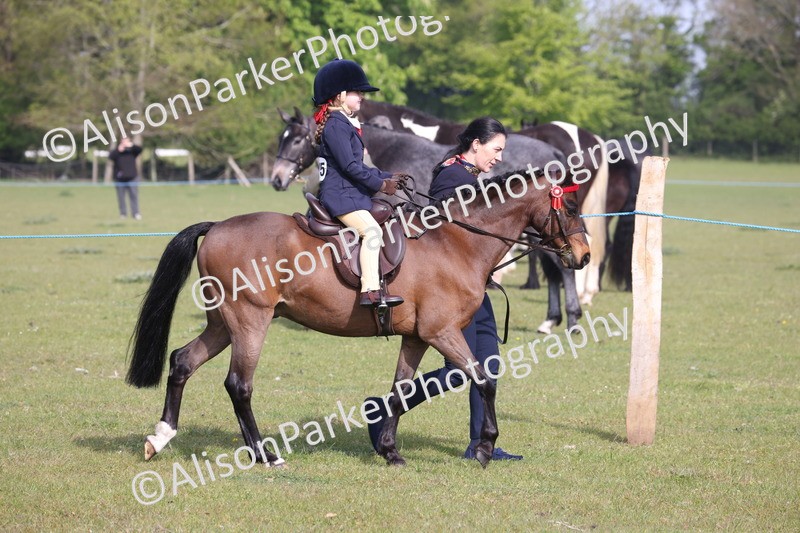 20260426-0270 - Class 30 - Tiny Tots Lead Rein