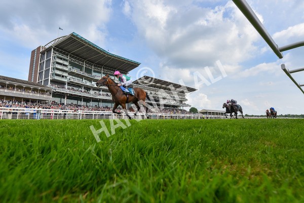 170524-Race 5-Lead Artist-6308 - Race 5 4.15pm  Darley EBF Novice Stakes