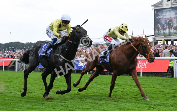 230825-007 King Of Cities - Race 1 1.50pm Sky Bet Strensall Stakes
