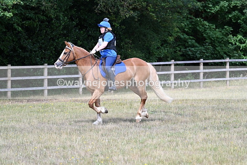 WJ7_0614 - 40cm Time 12:10 to 12:20