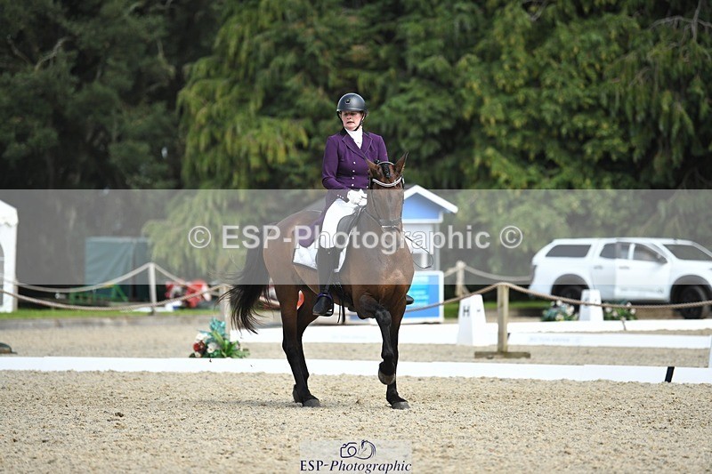 230812-134623-04497 - Cls 7 FEI PSG Bronze