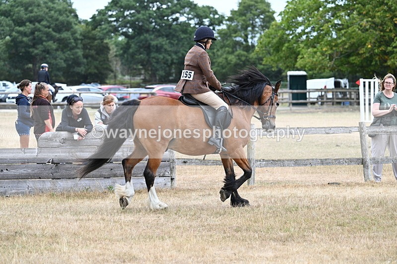 WJ7_0507 - Class 6 Ridden Mountain and Moorland