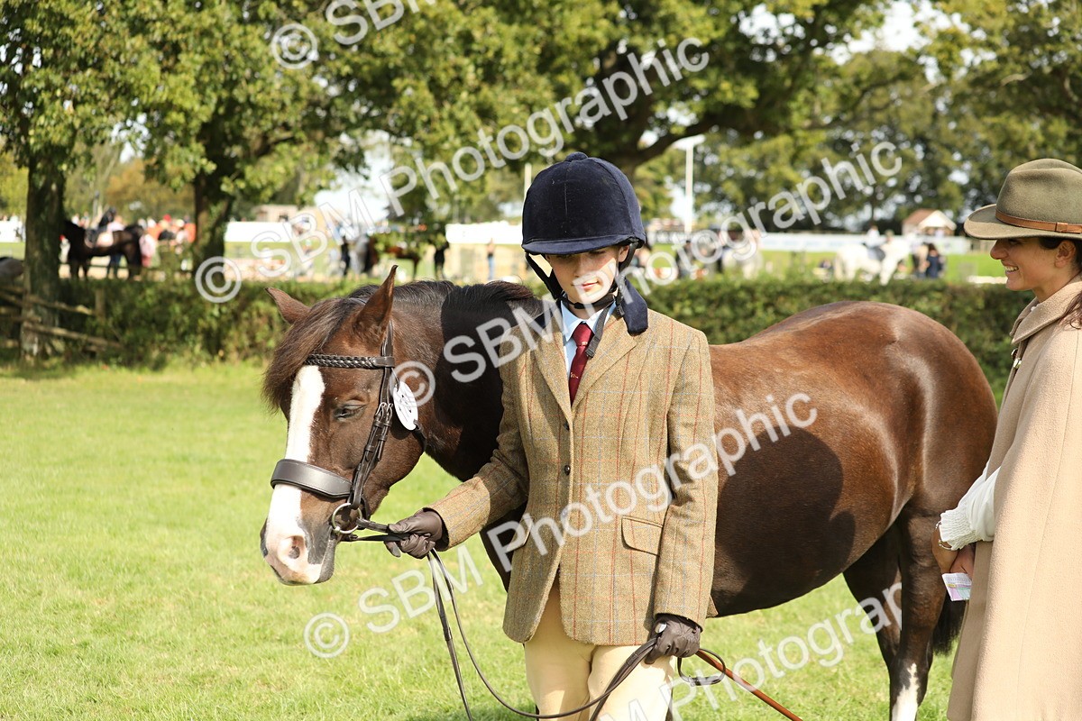 SBM_68635 - S40 - Junior Handler 9-12 Years