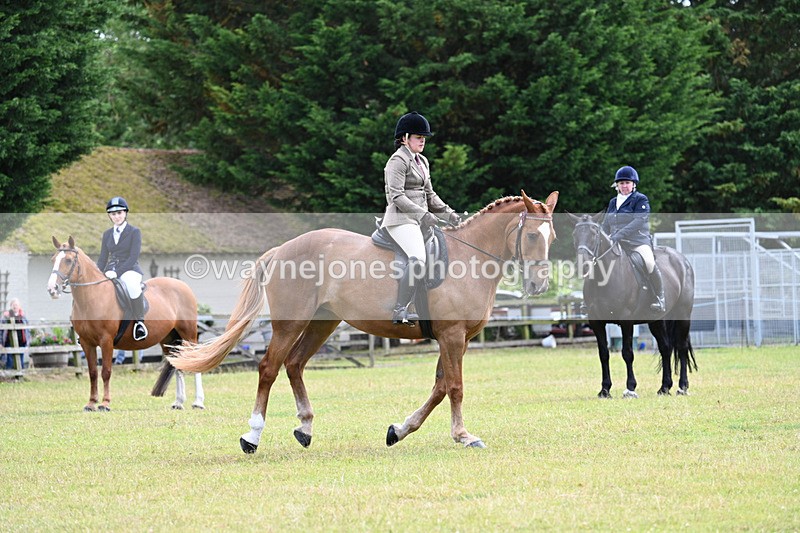 WJ7_9316 - Class 8 Ridden Veterans