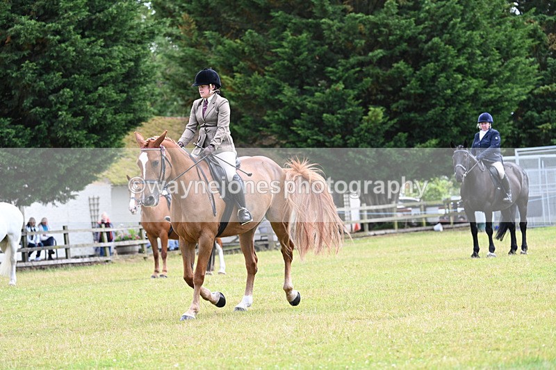 WJ7_9291 - Class 8 Ridden Veterans