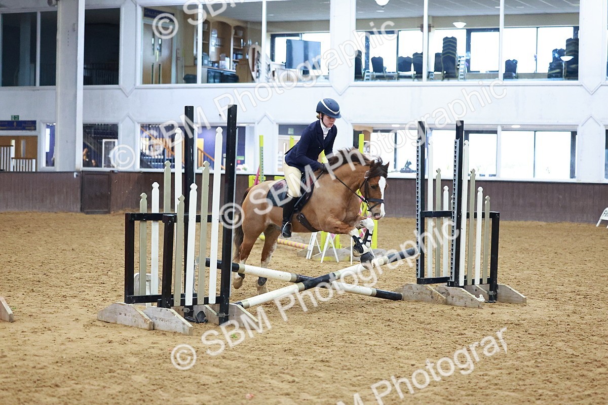 SBM_000361 - Class 19 - 50cm