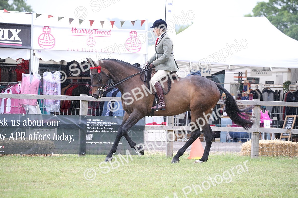 SBM_11449 - Class 94 - LIHS BSHA Racehorse to Showhorse