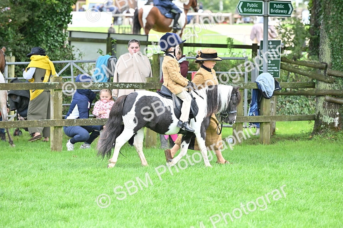 SBM_40131 - S20 - Lead Rein Mountain & Moorland Pony