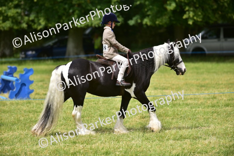 20260614-3965 - Class 16 - Handsome Gelding