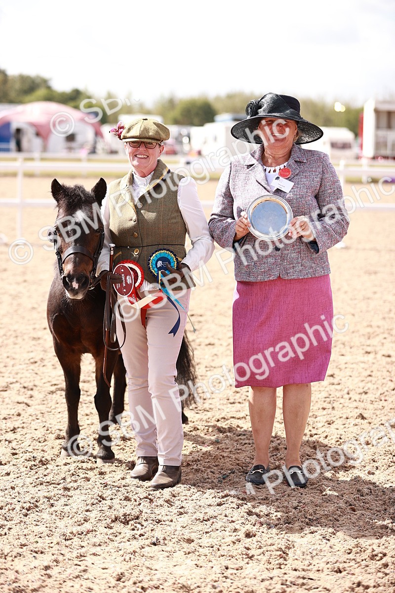 SBM_23014 - Class 707 - IH groom Helpers Class