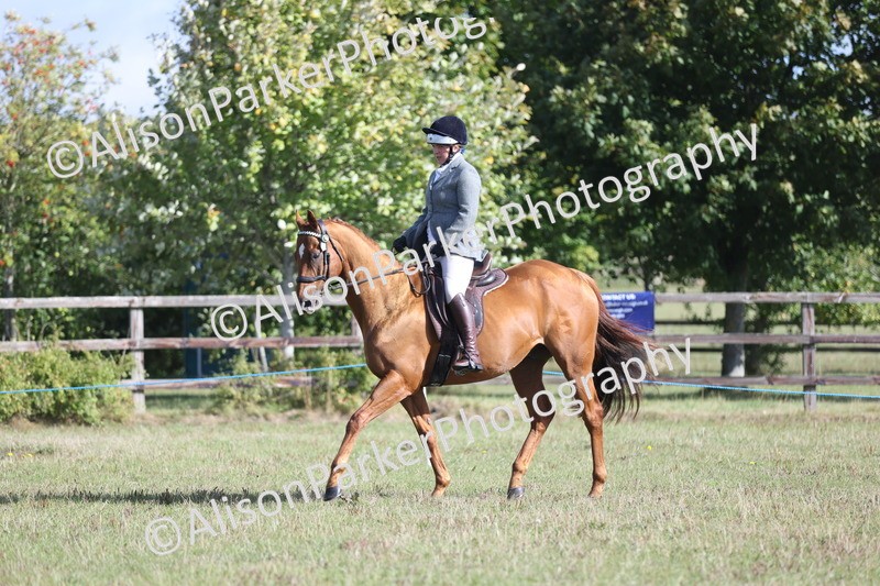 20250831-0896 - Class 14 - Ex Racehorse