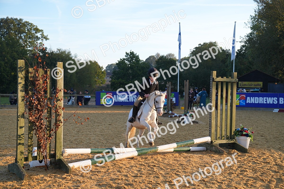 SBM_58809 - J63 - Minis Clear Round 30cm 40cm