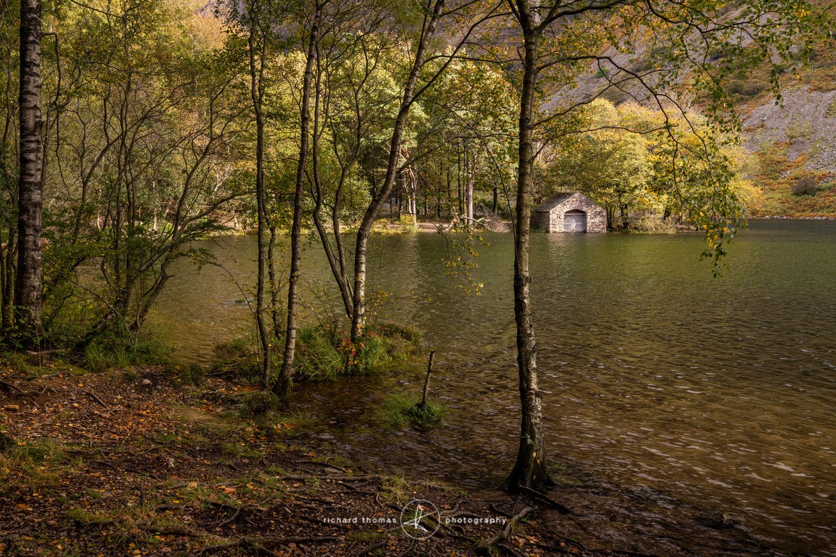 Boathouse through the trees - Wast Water, Lake District - Freshwater