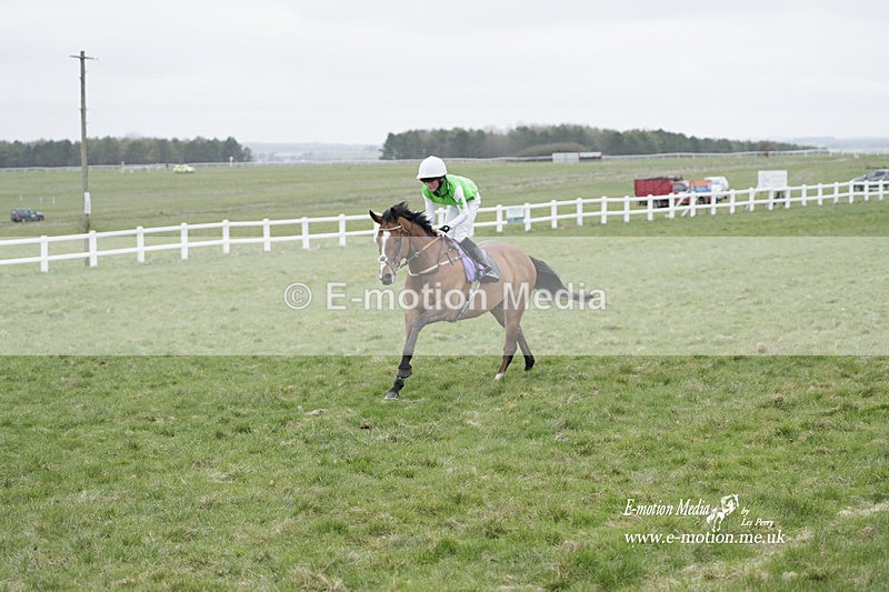 PtP 260323 1128 - New Forest Hounds Point-to-Point Larkhill 26/03/23