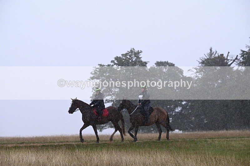DSC_3080 - Time at Statue 12:59 to 13:49