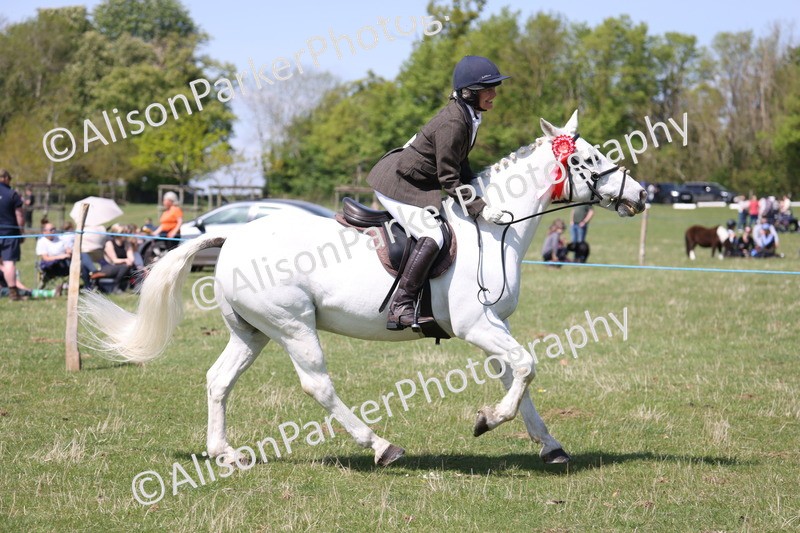 20250427-3311 - Class 33 - Best Pony 14.2hh and Under
